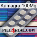 Kamagra 100Mg 08